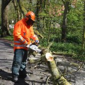 Grote tak breekt af Westeinde Noordwijkerhout